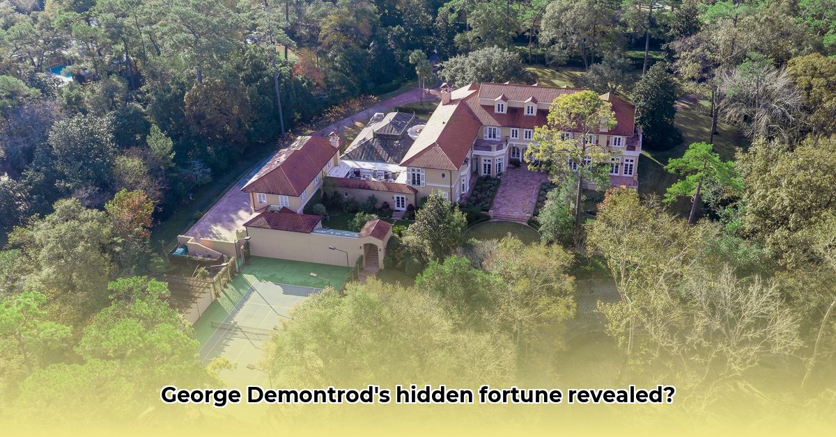 george-demontrond-net-worth